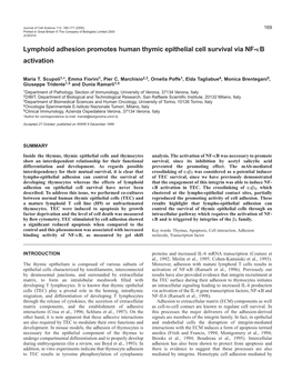 NF-(Kappa)B Activation in Adhesion-Mediated TEC Survival