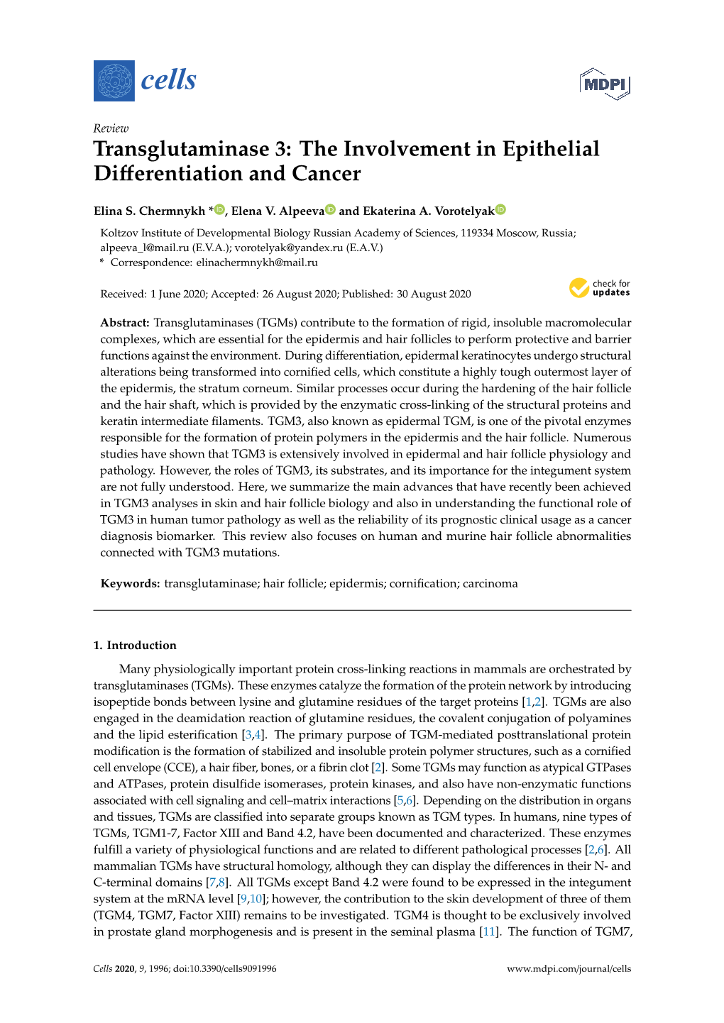 Transglutaminase 3: the Involvement in Epithelial Diﬀerentiation and Cancer