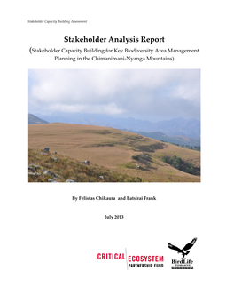 Stakeholder Analysis Report (Stakeholder Capacity Building for Key Biodiversity Area Management Planning in the Chimanimani-Nyanga Mountains)