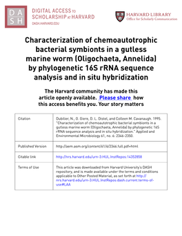 (Oligochaeta, Annelida) by Phylogenetic 16S Rrna Sequence Analysis and in Situ Hybridization