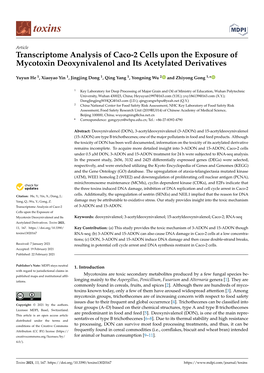 Transcriptome Analysis of Caco-2 Cells Upon the Exposure of Mycotoxin Deoxynivalenol and Its Acetylated Derivatives