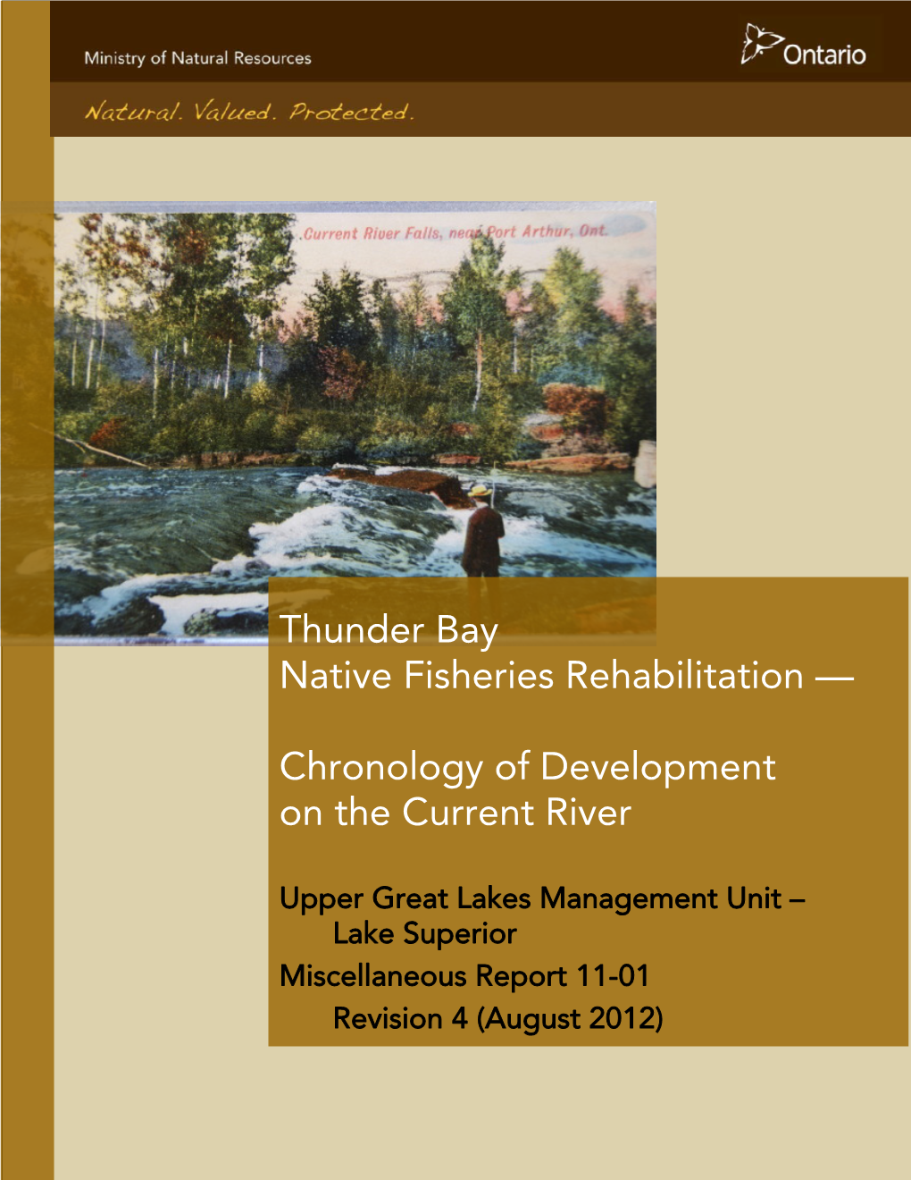 Chronology of Development on the Current River