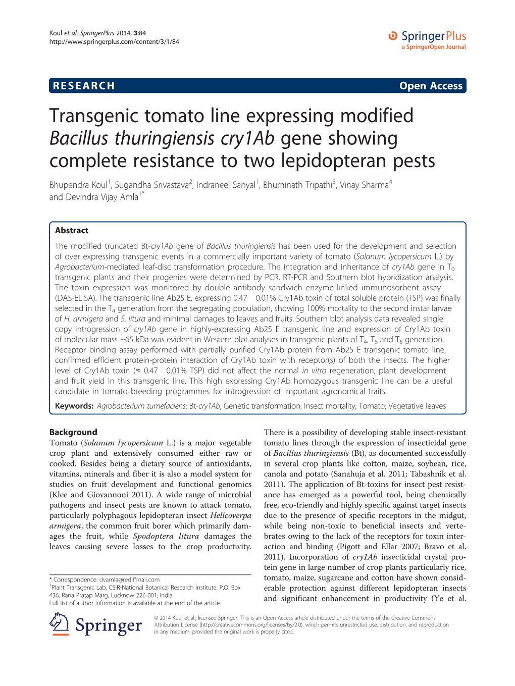Transgenic Tomato Line Expressing Modified Bacillus Thuringiensis