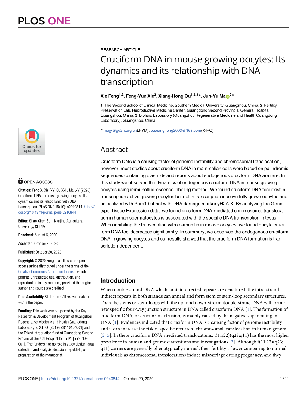 Cruciform DNA in Mouse Growing Oocytes: Its Dynamics and Its Relationship with DNA Transcription