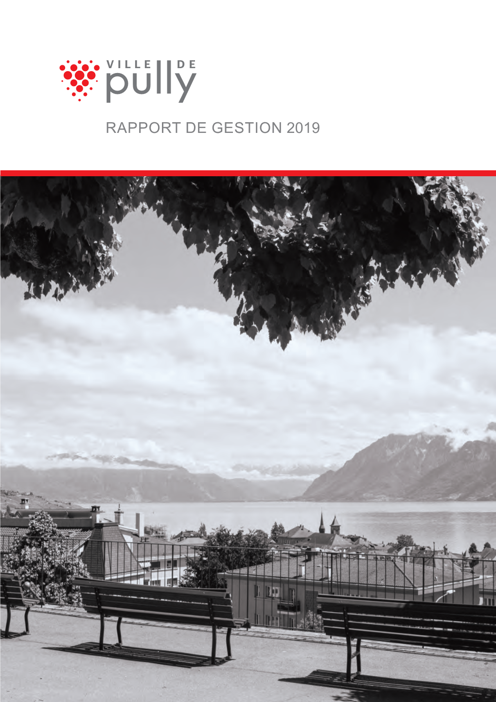 Rapport De Gestion 2019