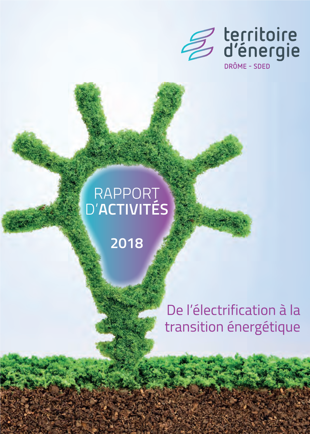 Rapport D'activités