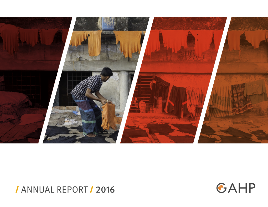 GAHP Annual Report 2016