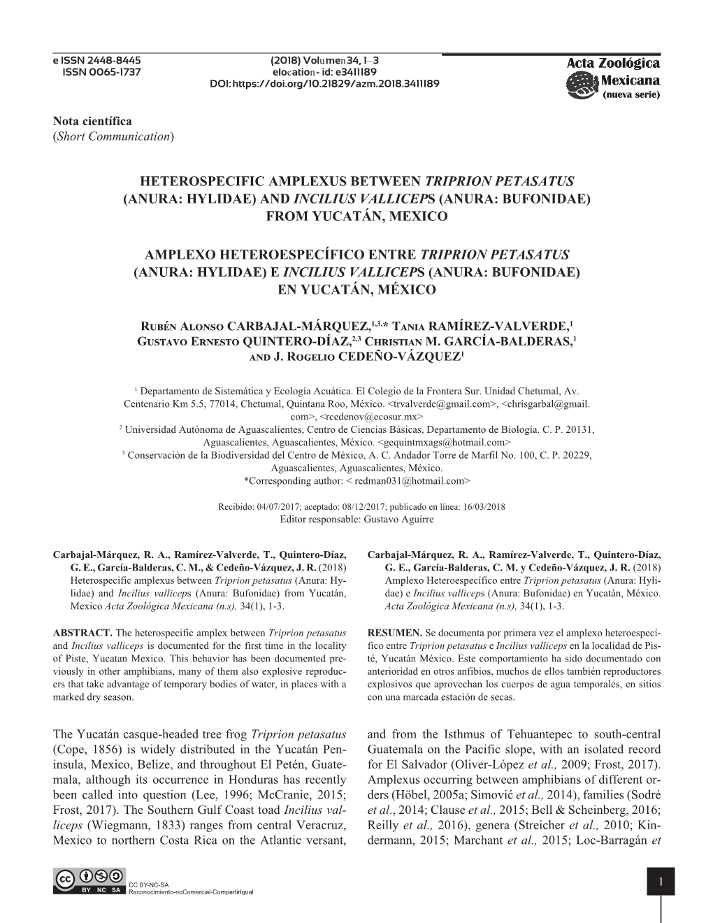 Heterospecific Amplexus Between Triprion Petasatus (Anura: Hylidae) and Incilius Valliceps (Anura: Bufonidae) from Yucatán, Mexico