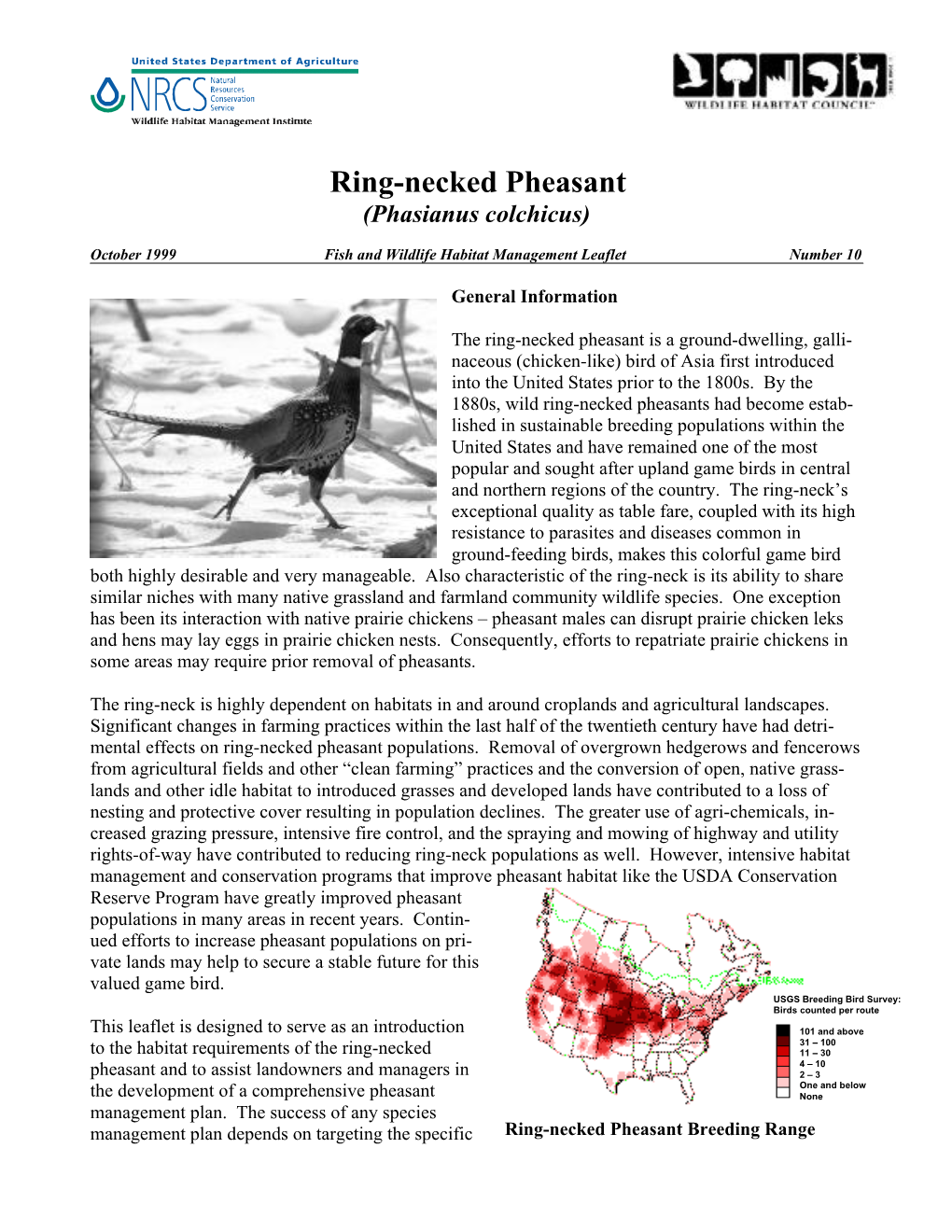 Ring-Necked Pheasants (Phasianus Colchicus)