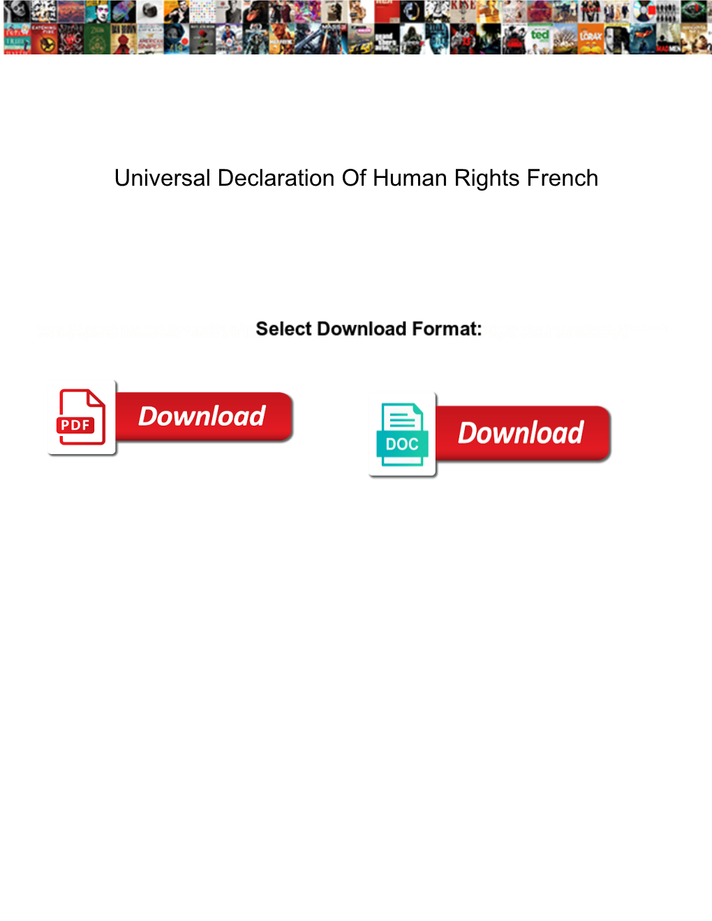 Universal Declaration of Human Rights French