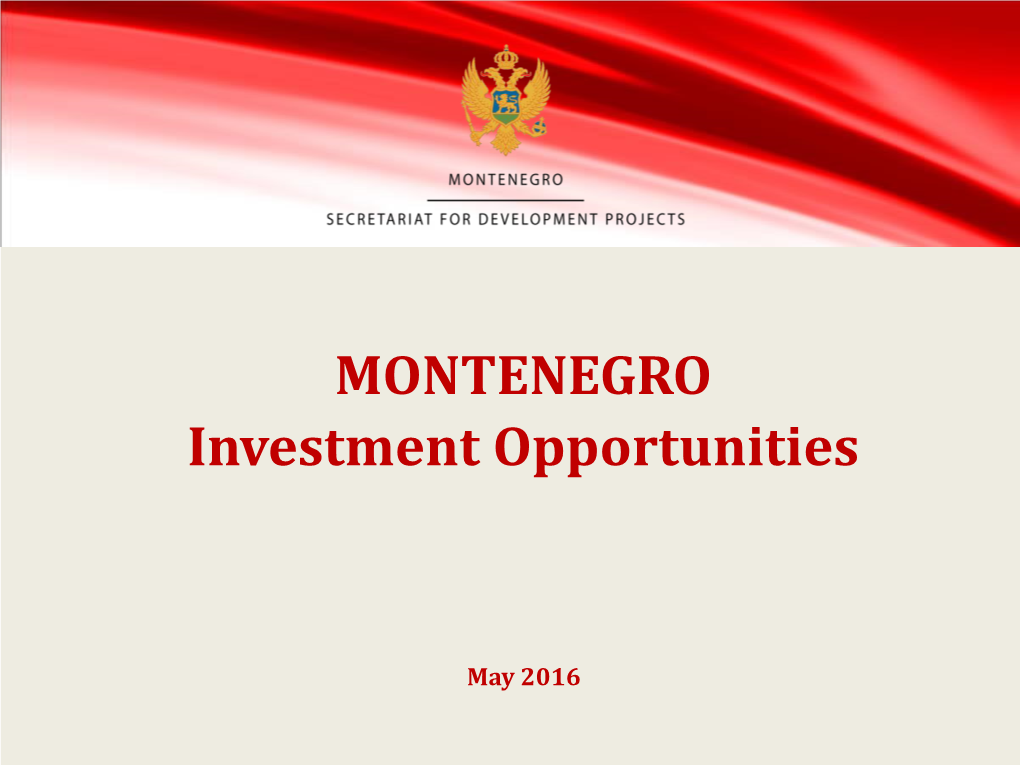 The Government of Montenegro Deputy Prime Minister for Economic