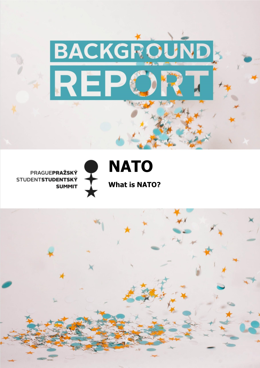 What Is NATO?