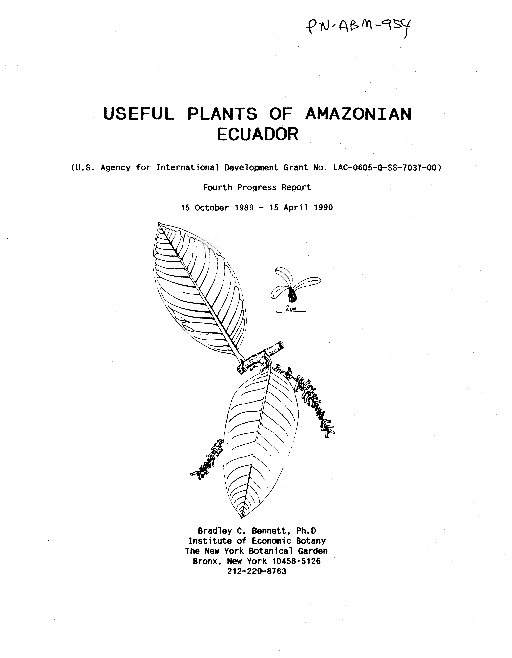 Useful Plants of Amazonian Ecuador
