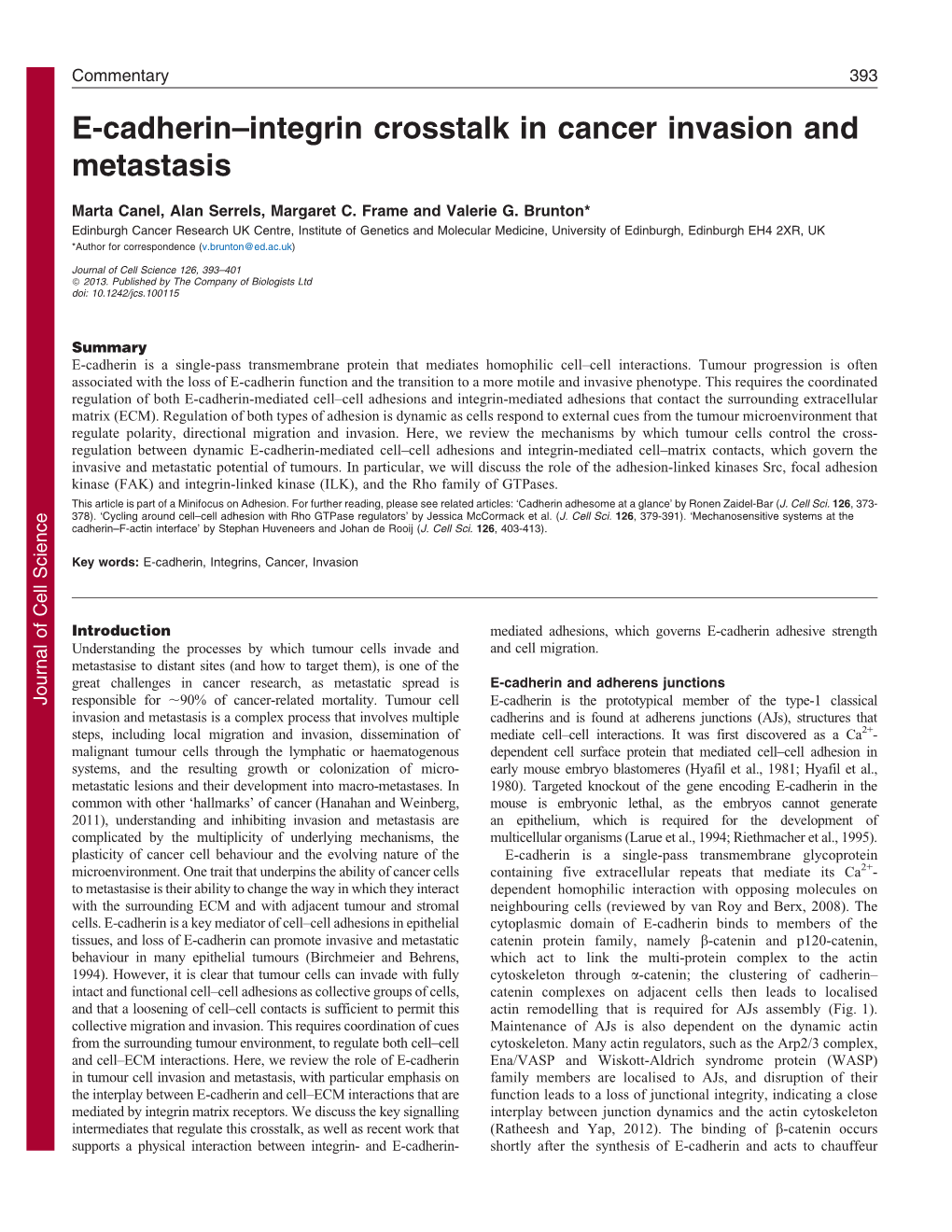 E-Cadherin–Integrin Crosstalk in Cancer Invasion and Metastasis