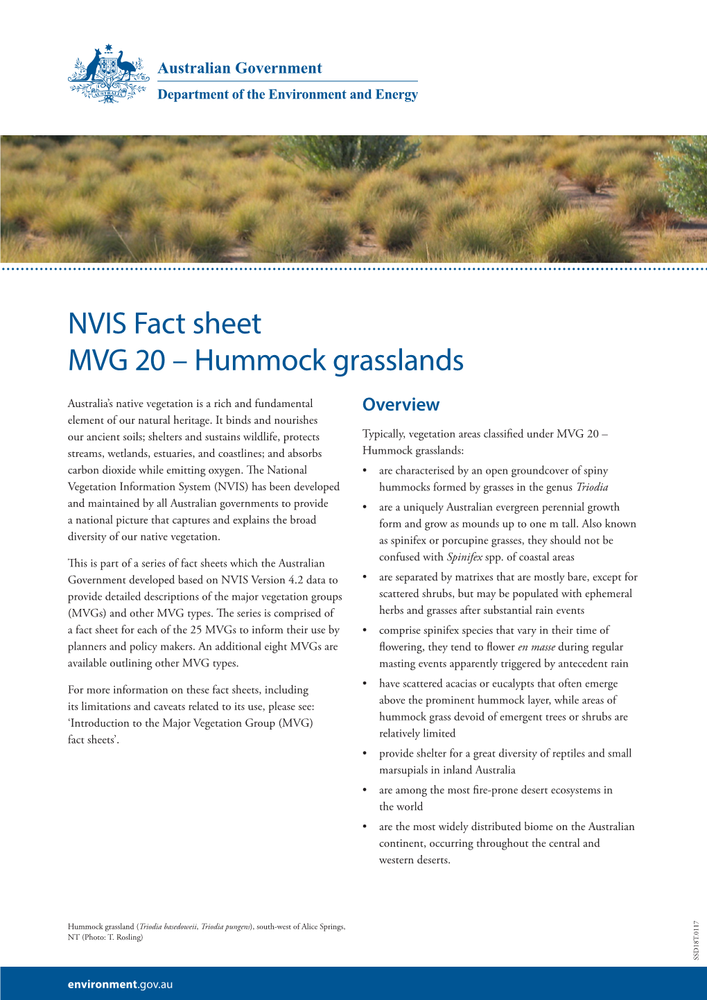 Hummock Grasslands