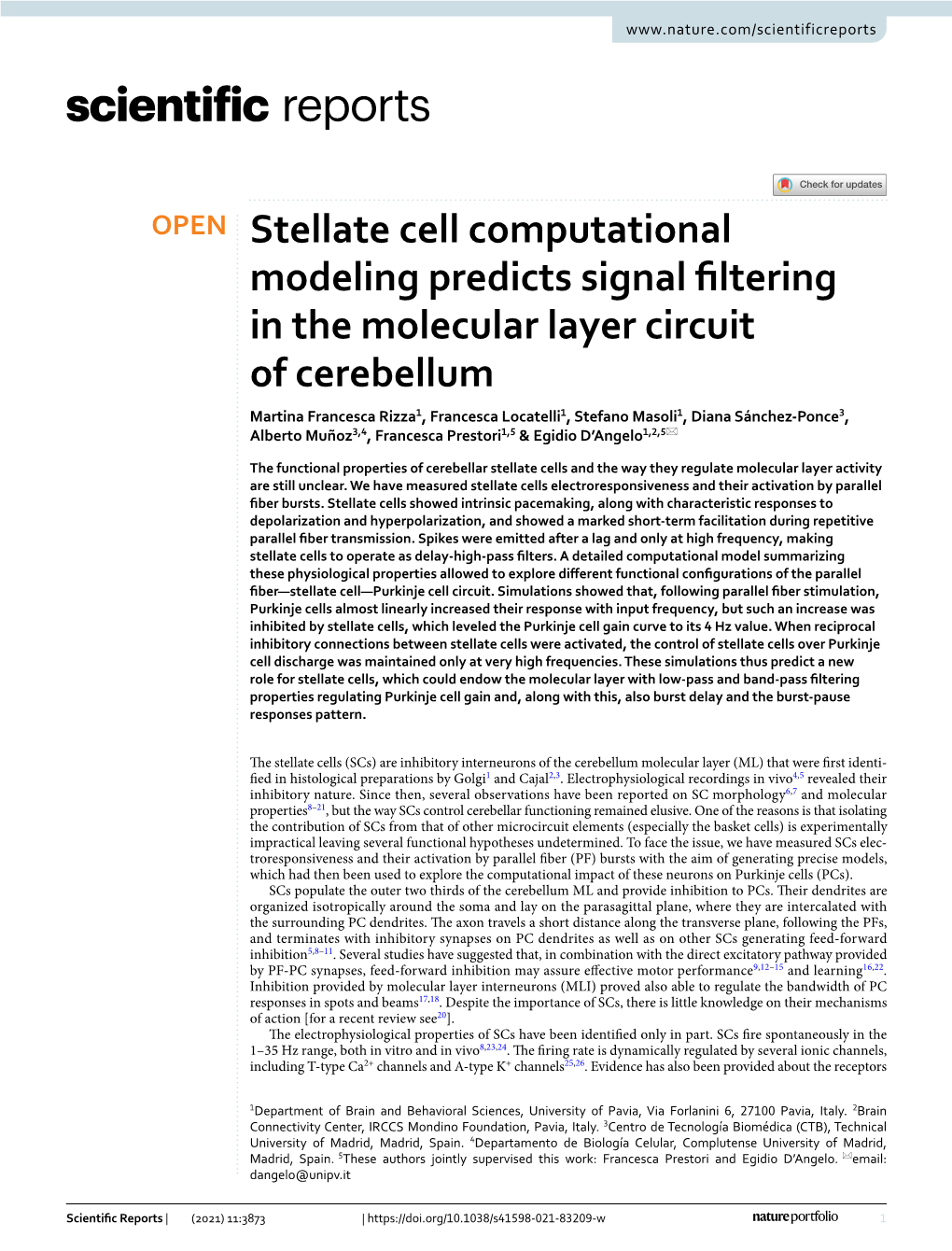 Stellate Cell Computational Modeling Predicts Signal Filtering in the Molecular Layer Circuit of Cerebellum
