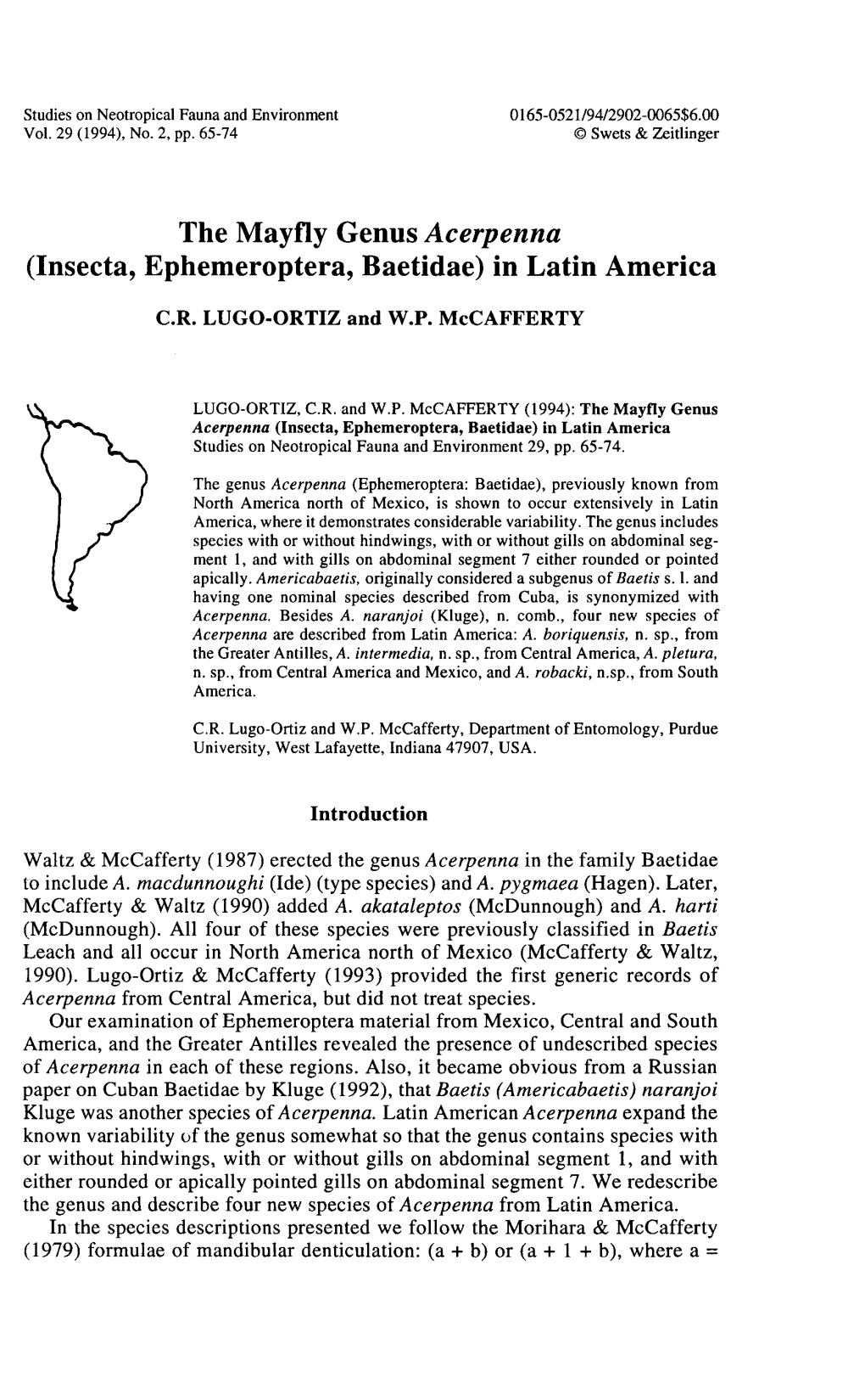 The Mayfly Genus Acerpenna (Lnsecta, Ephemeroptera, Baetidae) in Latin America