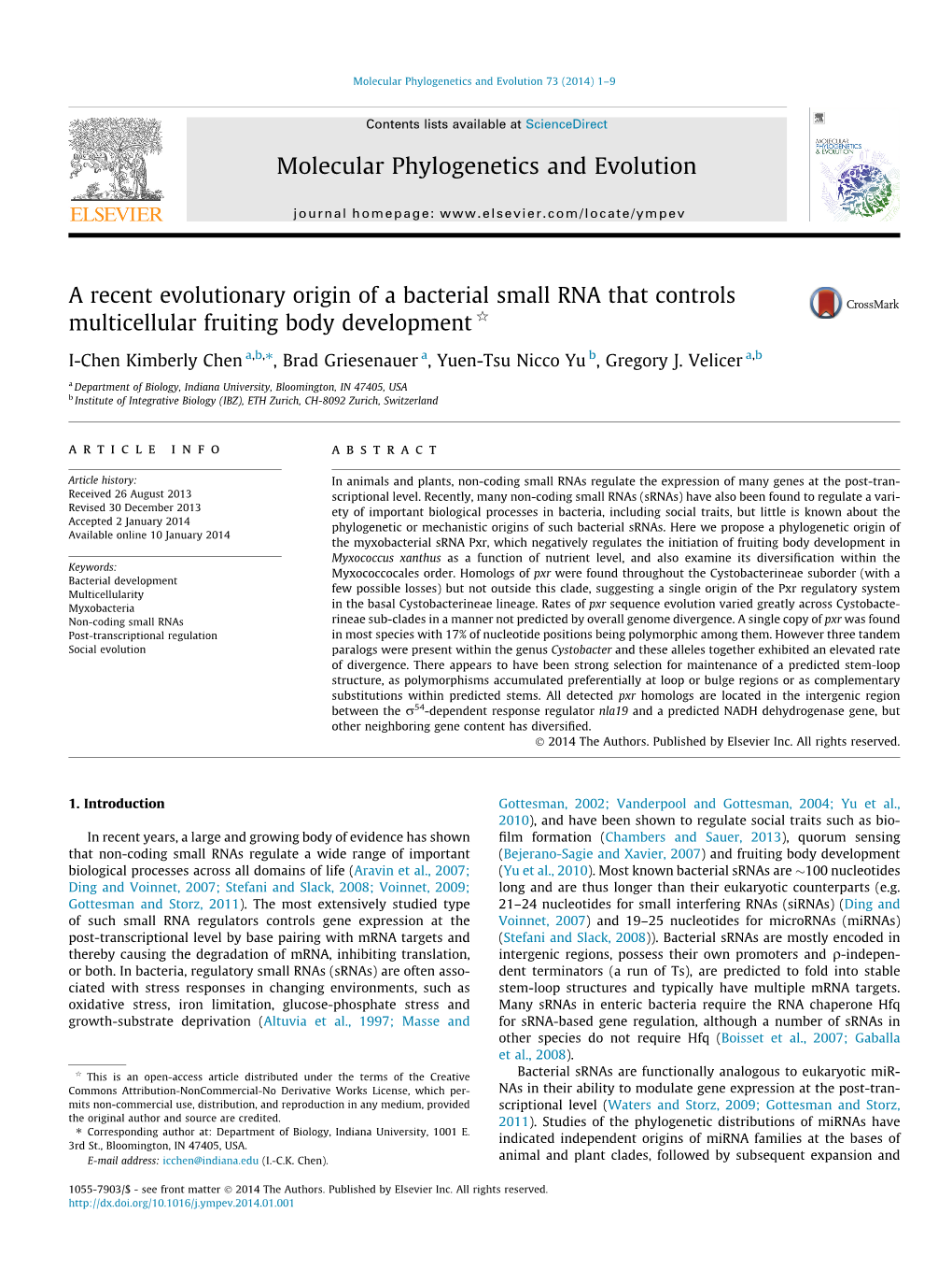 A Recent Evolutionary Origin of a Bacterial Small RNA That Controls