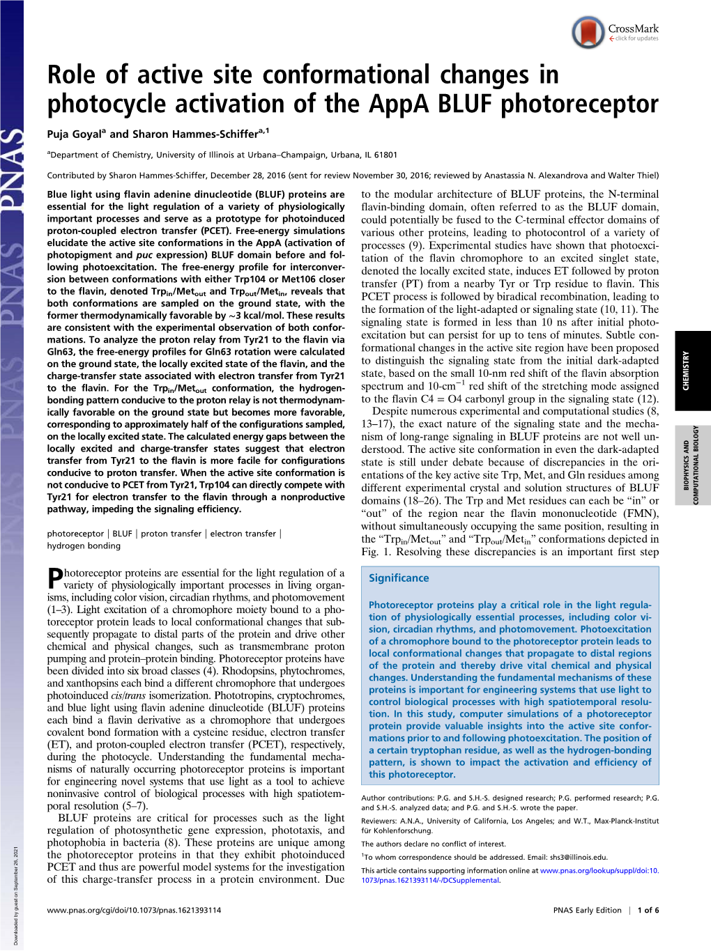 Role of Active Site Conformational Changes in Photocycle Activation of the Appa BLUF Photoreceptor