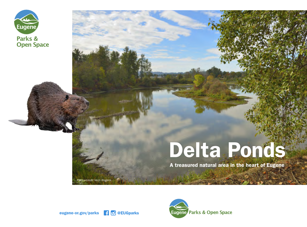 Delta Ponds Ponds Delta