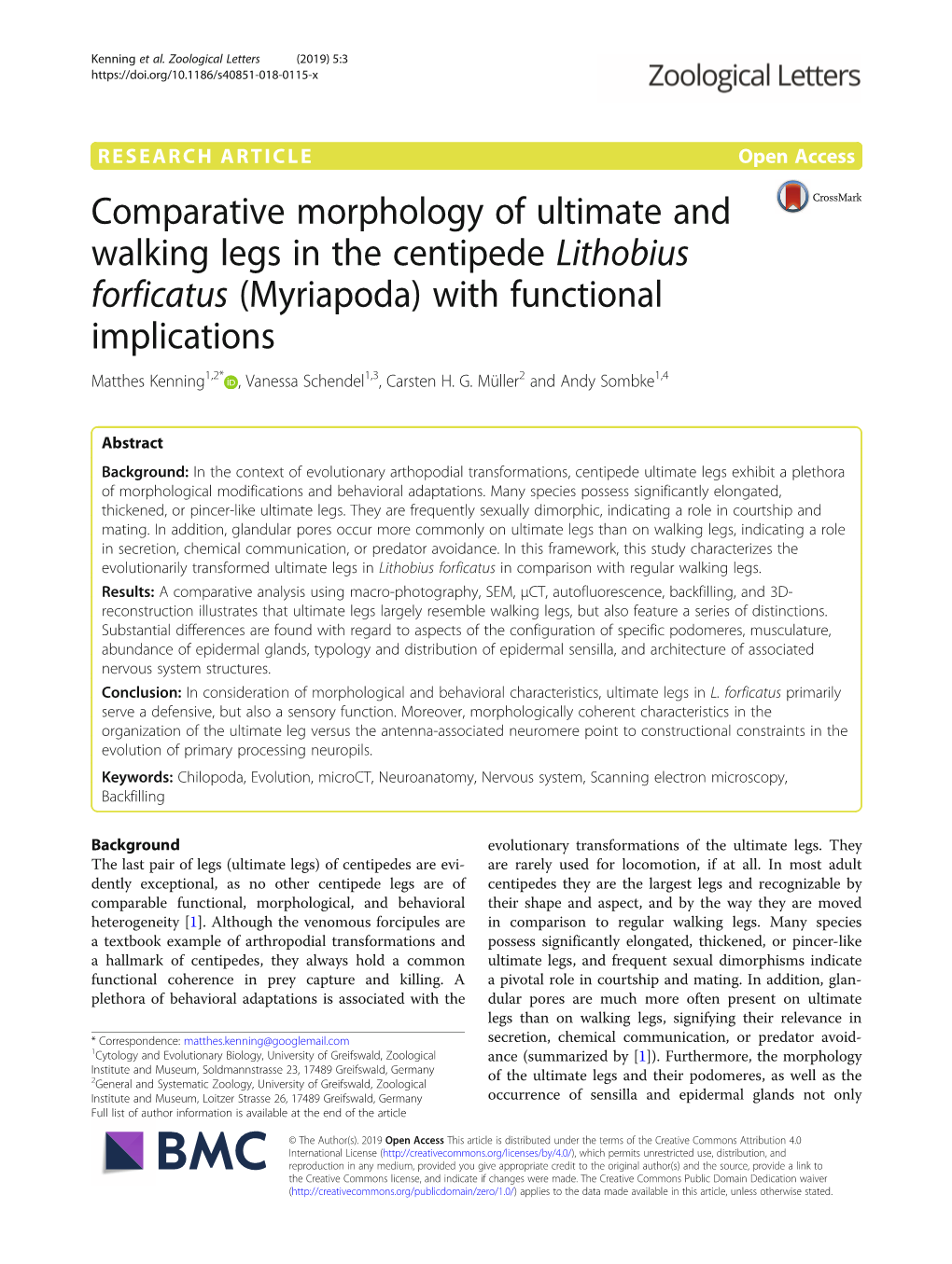 Comparative Morphology of Ultimate and Walking Legs in the Centipede Lithobius Forficatus (Myriapoda) with Functional Implicatio