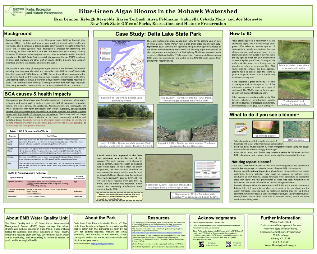 Blue-Green Algae Blooms in the Mohawk Watershed