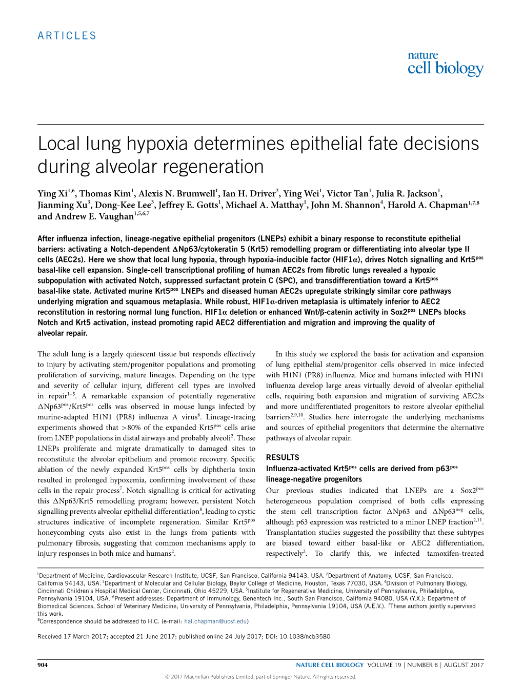 Local Lung Hypoxia Determines Epithelial Fate Decisions During Alveolar Regeneration