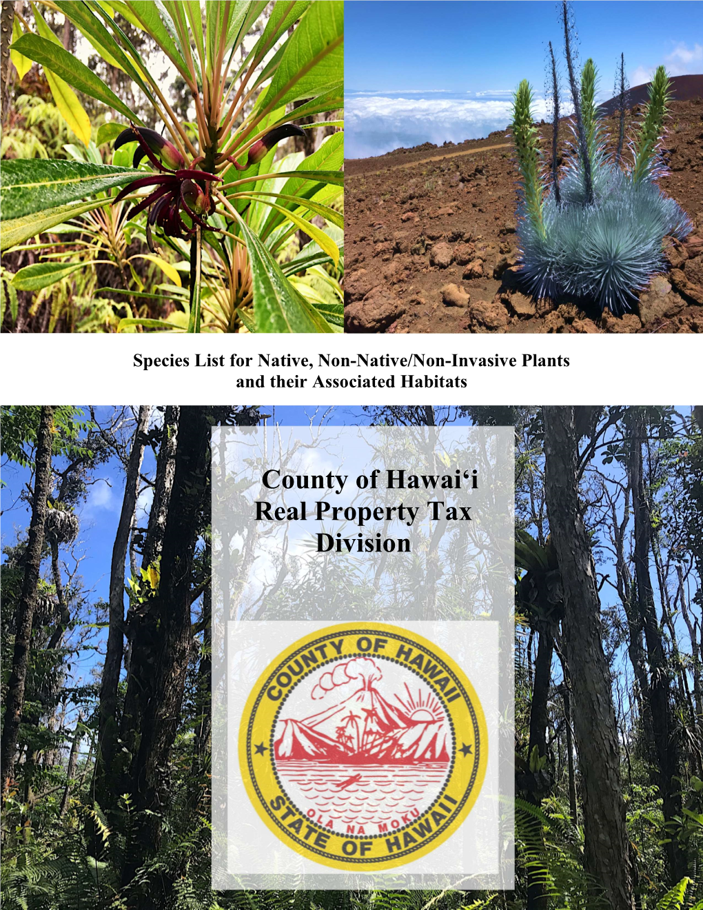 Native Forest Dedication – Species List