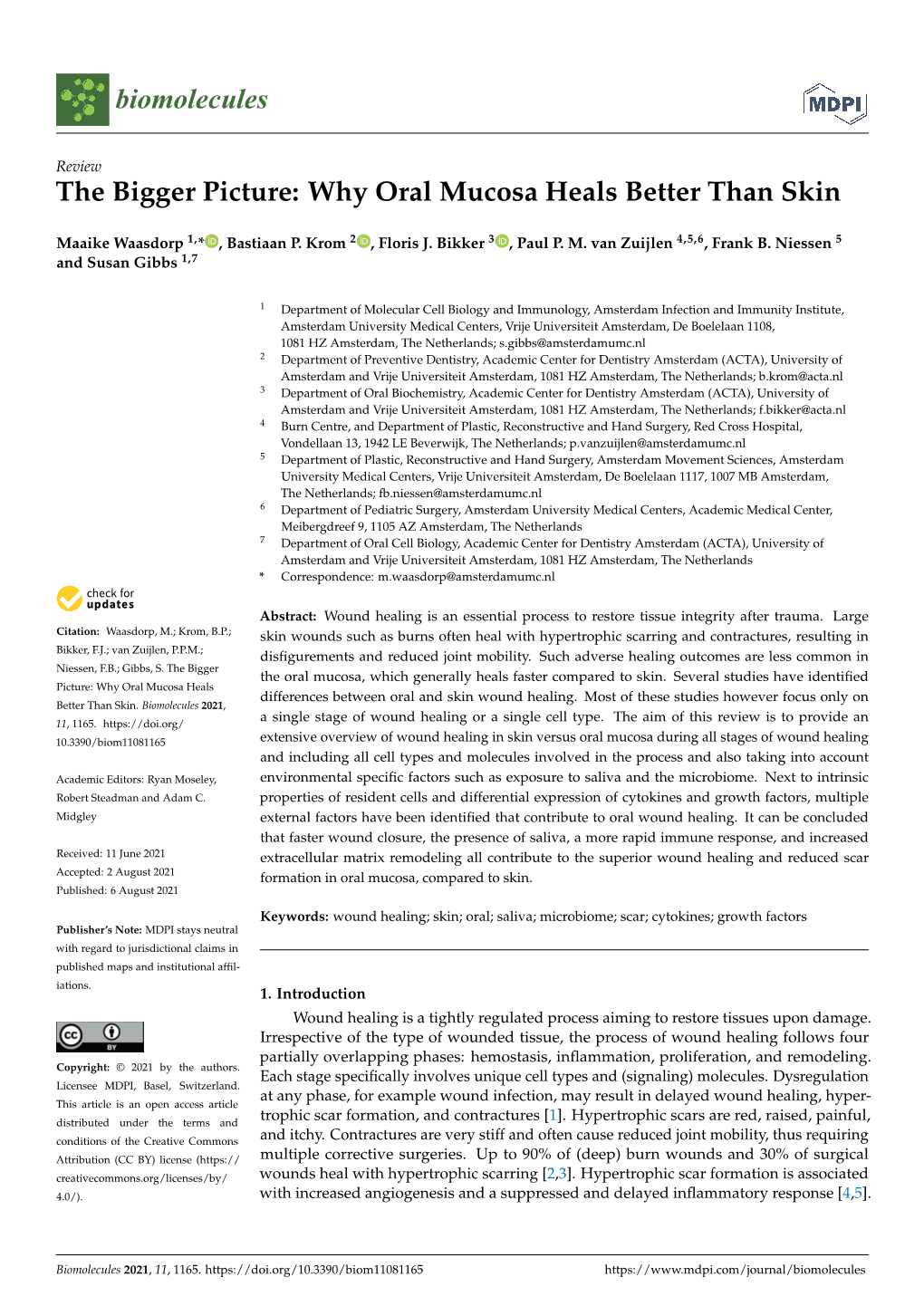 The Bigger Picture: Why Oral Mucosa Heals Better Than Skin