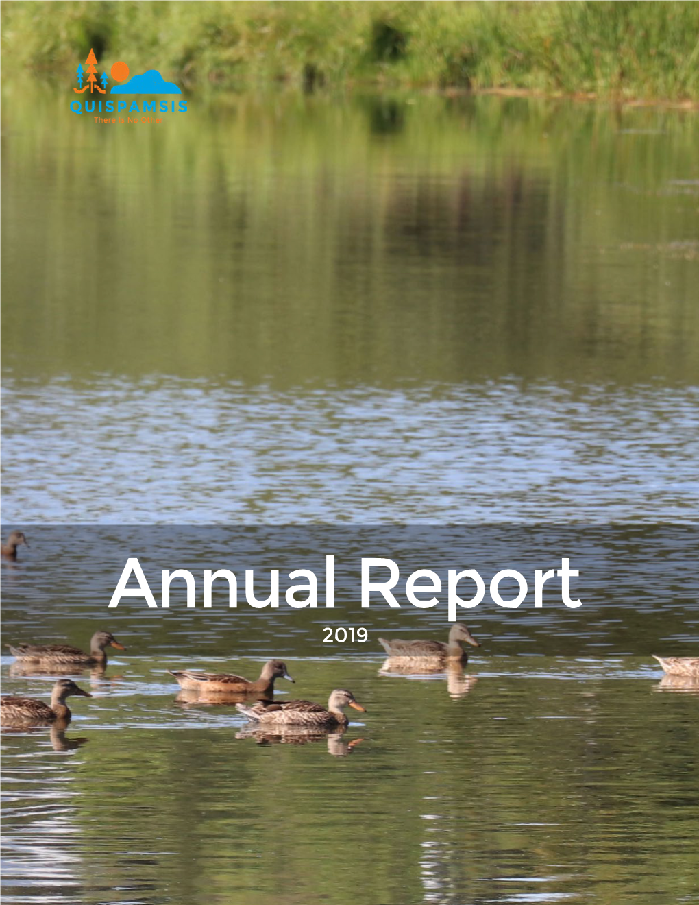 Annual Report 2019 Canada Day Arts & Culture Park 2019 Content