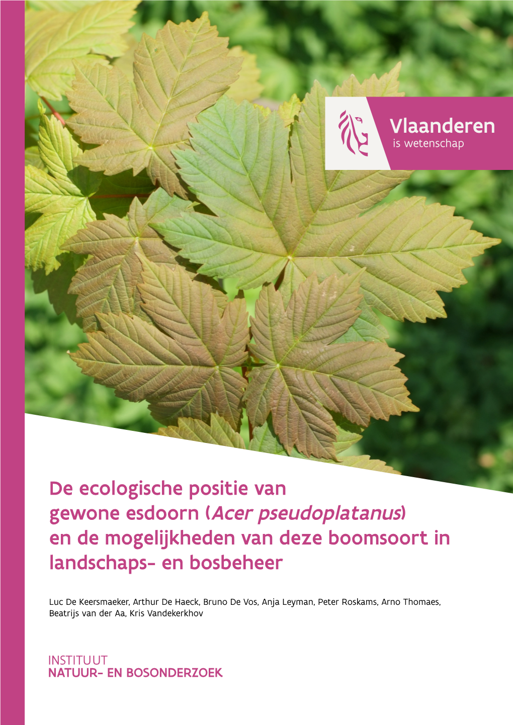 Acer Pseudoplatanus) En De Mogelijkheden Van Deze Boomsoort in Landschaps- En Bosbeheer