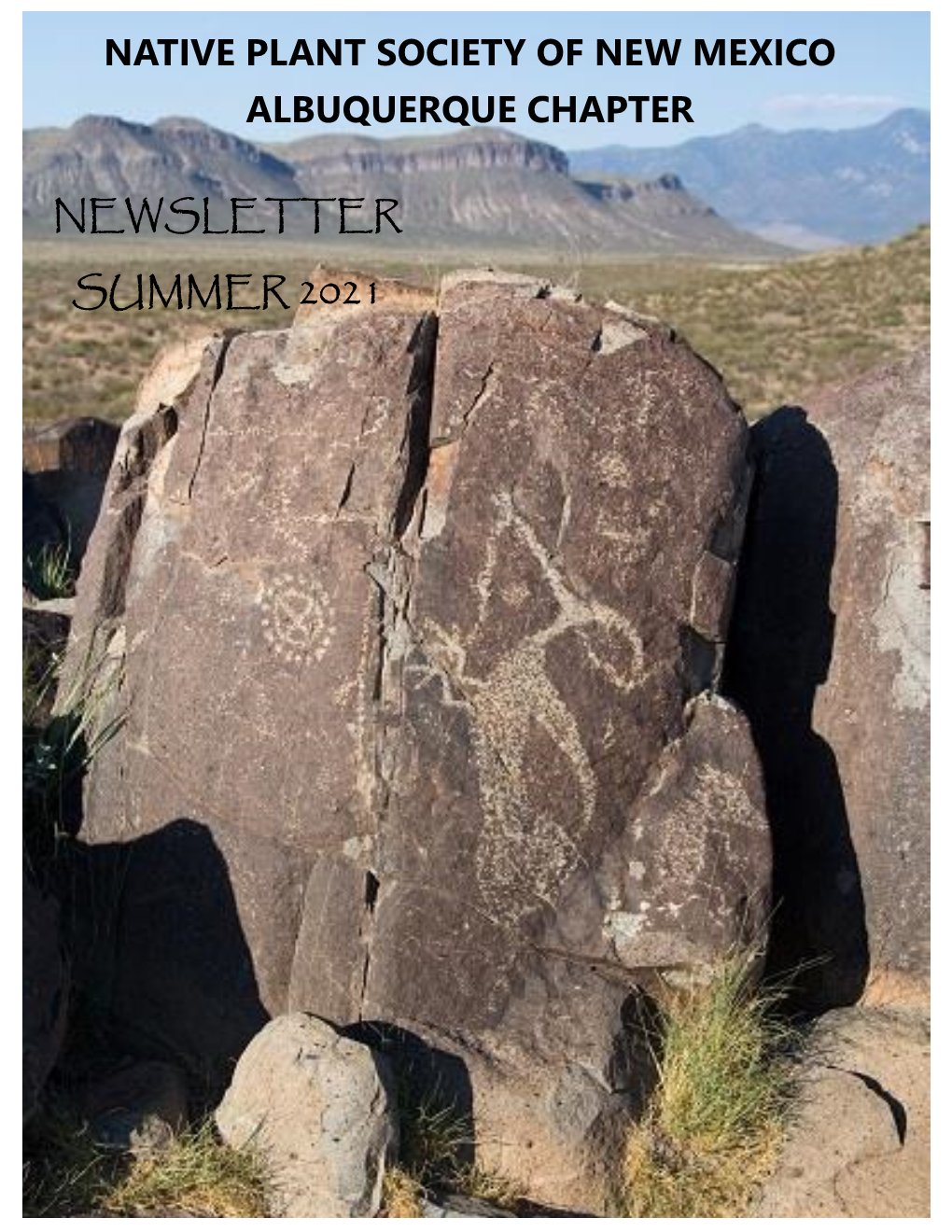 Newsletter Summer 2021 (PDF)