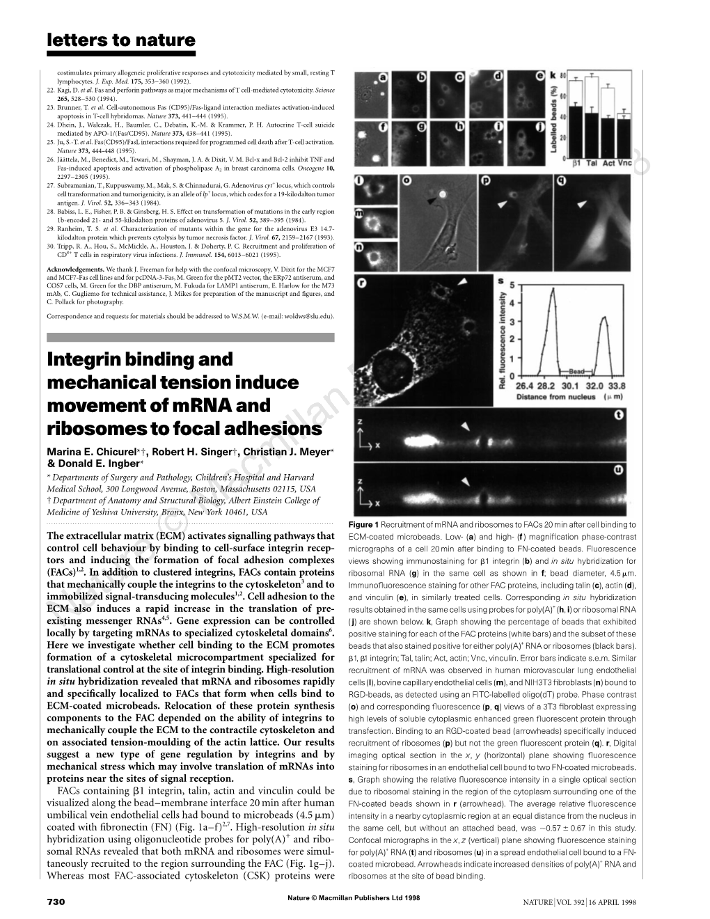 Integrin Binding and Mechanical Tension Induce Movement of Mrna and Ribosomes to Focal Adhesions Marina E