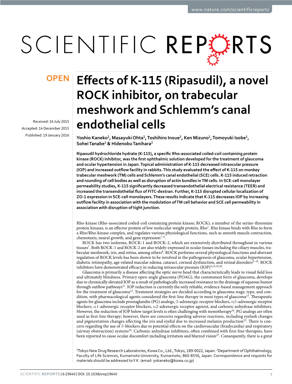 A Novel ROCK Inhibitor, on Trabecular Meshwork and Schlemm's Canal Endothelial Cells