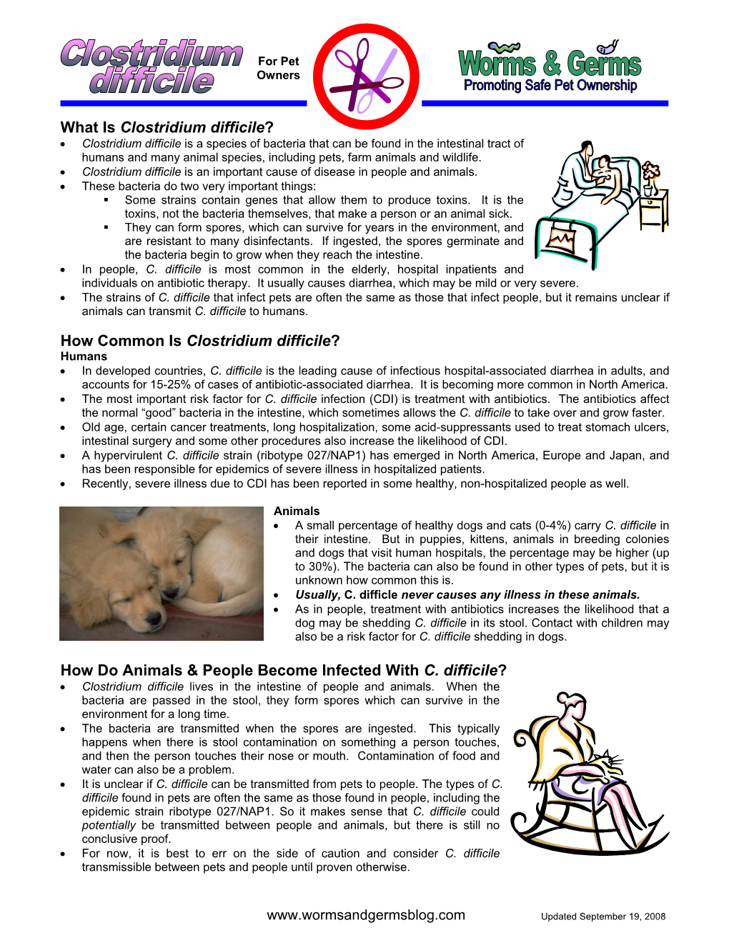 What Is Clostridium Difficile?