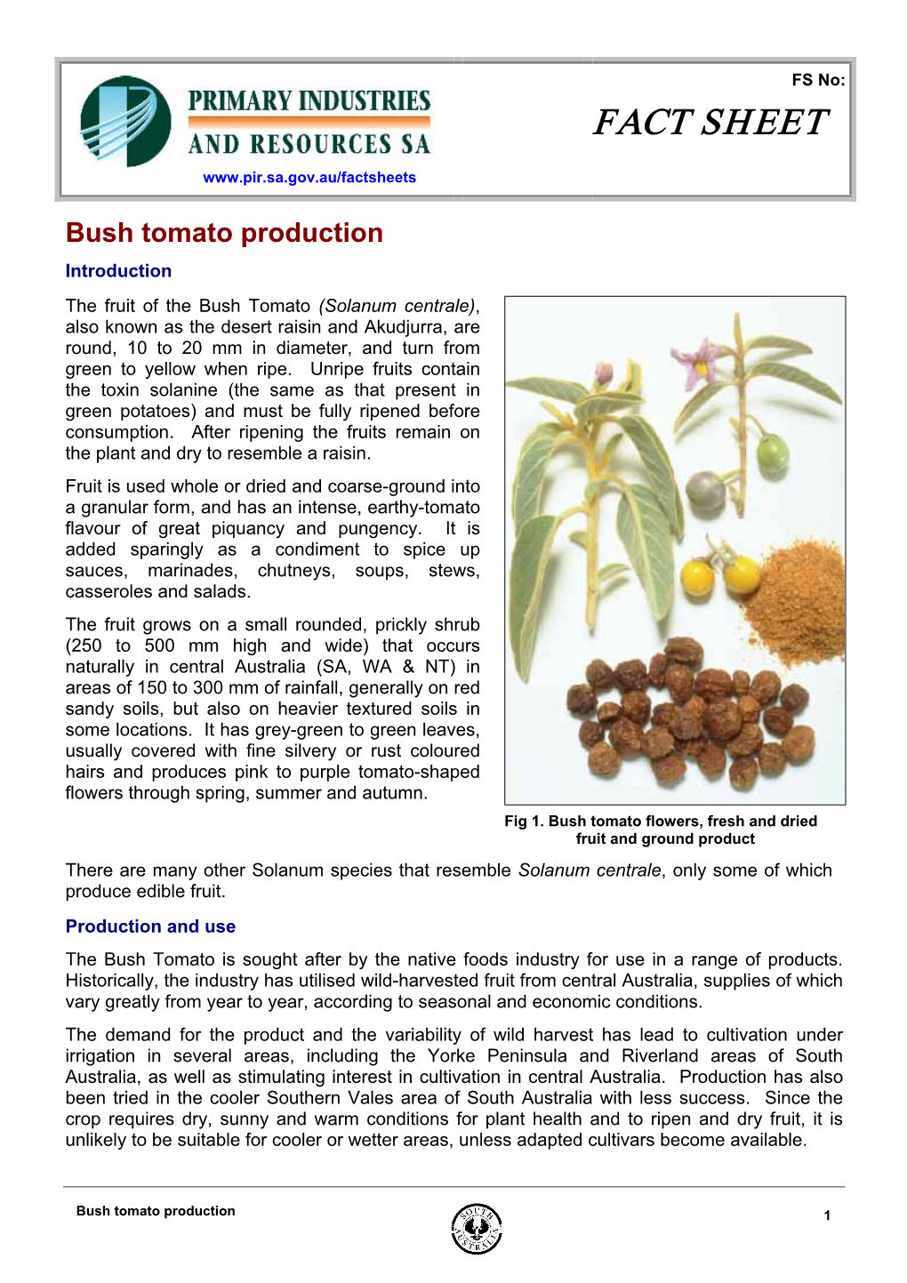 Bush Tomatoe Production