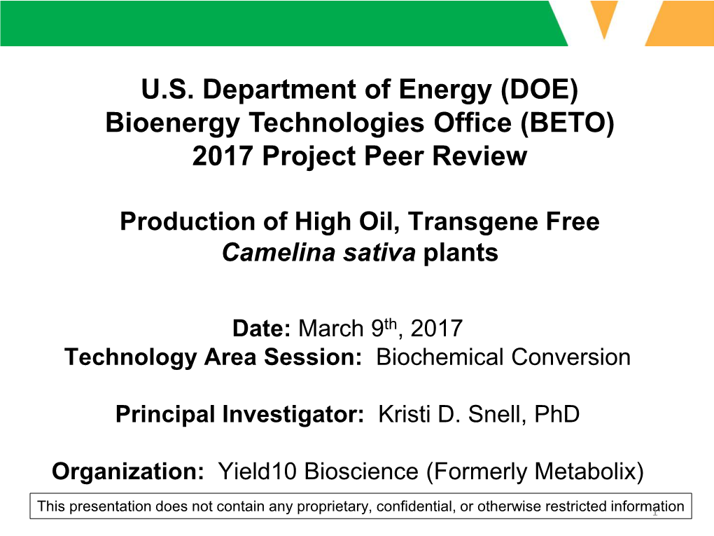 Production of High Oil, Transgene Free Camelina Sativa Plants.Pdf
