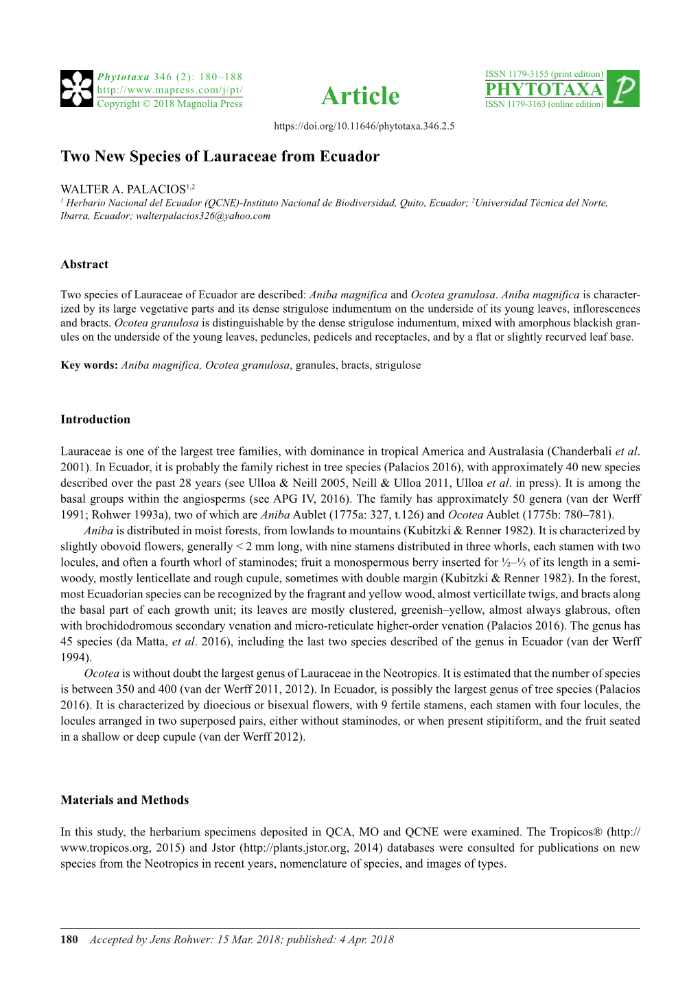 Two New Species of Lauraceae from Ecuador