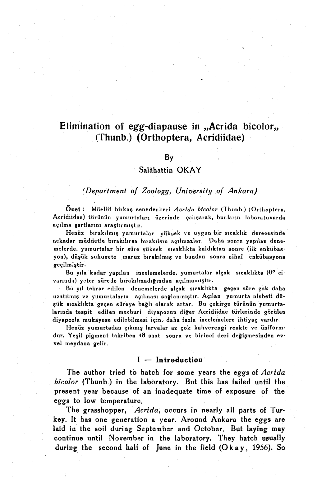 Acrida Bicolor,, (Thunb.) (Ortboptera, Acridiidae)