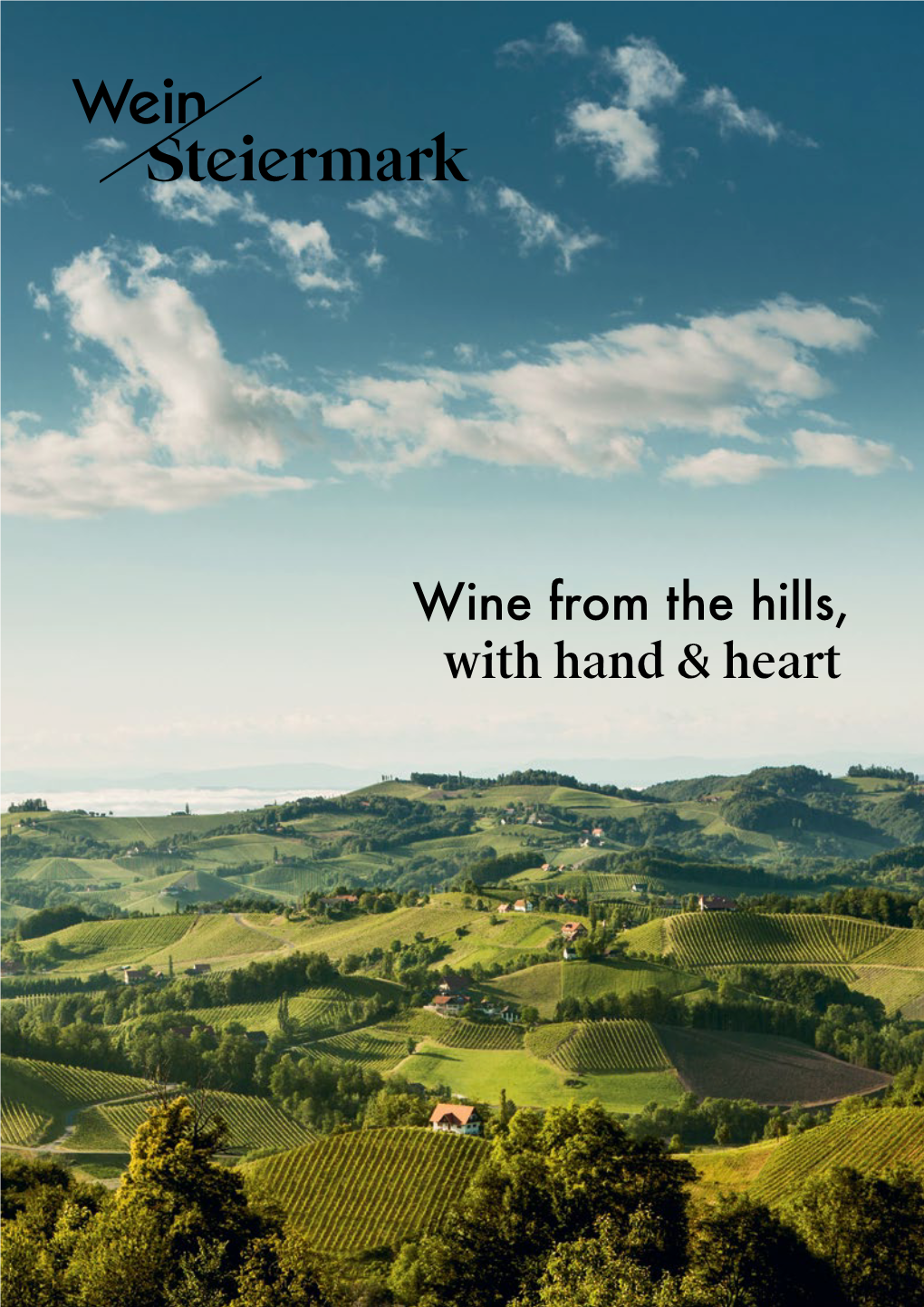 Wine from the Hills, with Hand & Heart © Flora P