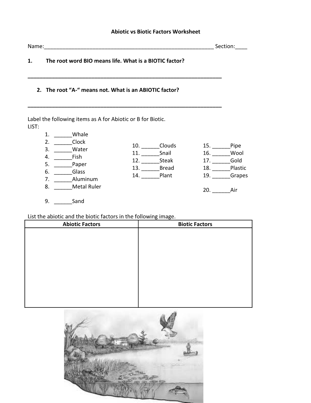 Abiotic Vs Biotic Factors Worksheet