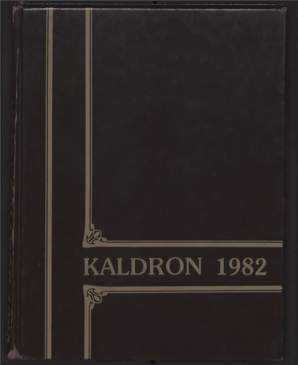 Kaldron 1982 % Kaldr0n 1982