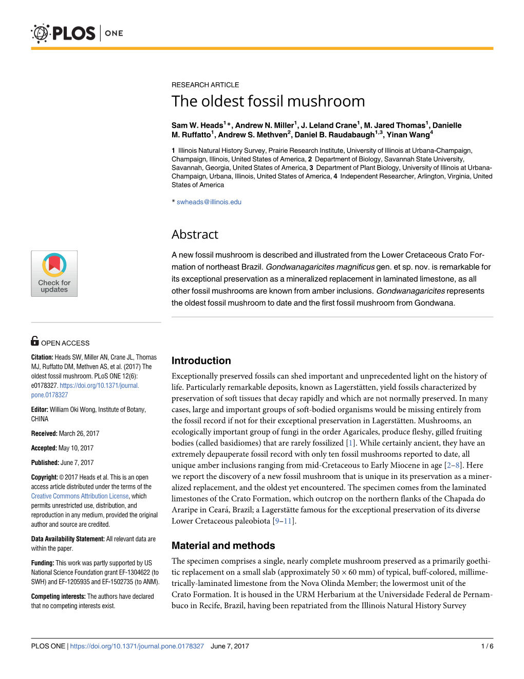 The Oldest Fossil Mushroom