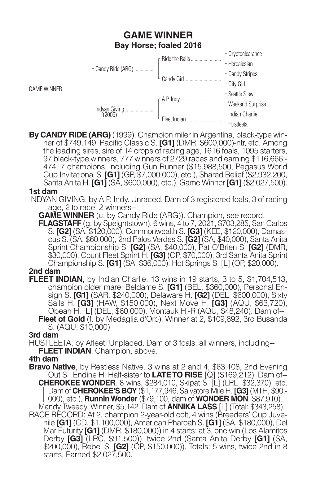 GAME WINNER Bay Horse; Foaled 2016 Cryptoclearance Ride the Rails