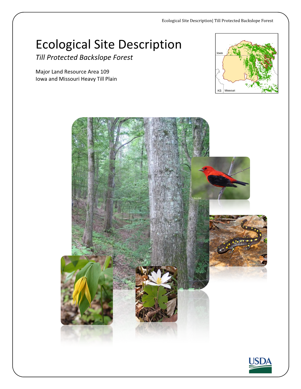 Ecological Site Description| Till Protected Backslope Forest