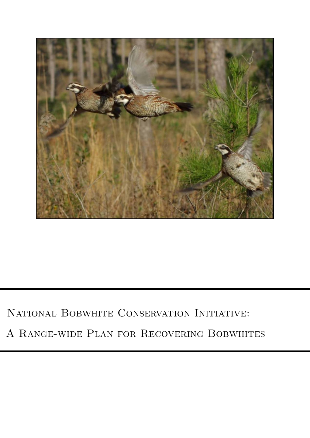 NBCI) Was Published by the Southeast Quail Study Group (SEQSG), on Behalf of the Southeastern Association of Fish and Wildlife Agencies (SEAFWA)