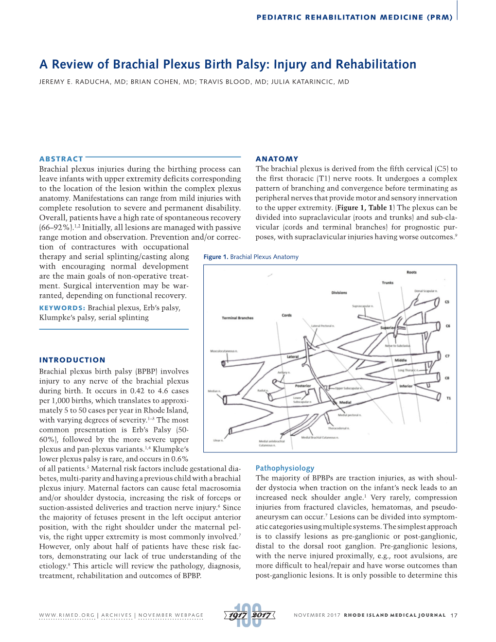 A Review of Brachial Plexus Birth Palsy: Injury and Rehabilitation