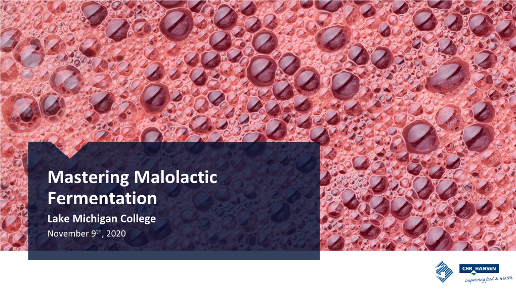 Mastering Malolactic Fermentation Webinar