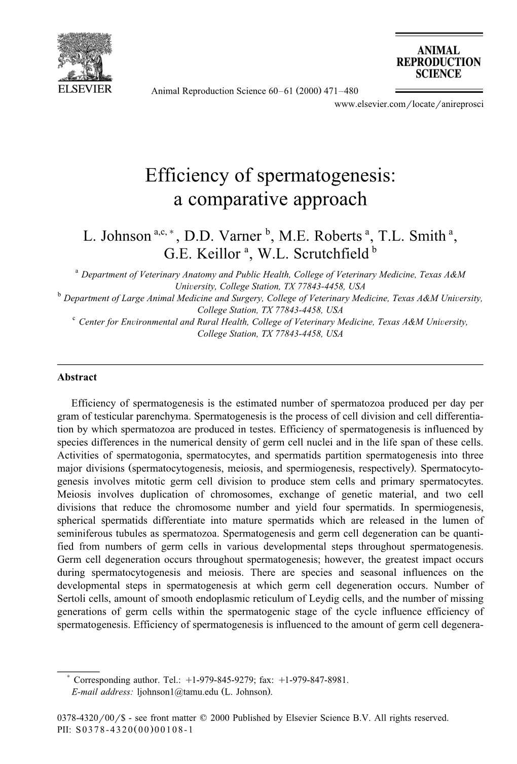 Efficiency of Spermatogenesis: a Comparative Approach