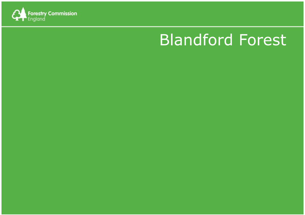 Blandford Forest